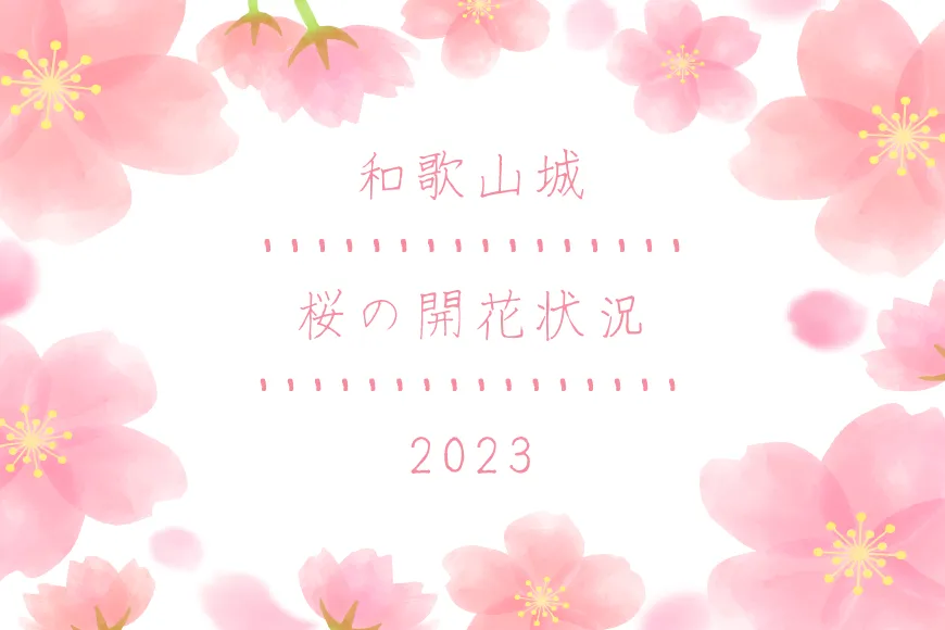 2023年和歌山城の桜の開花状況